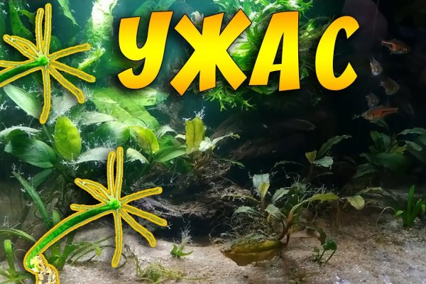 Кракен ссылка зайти