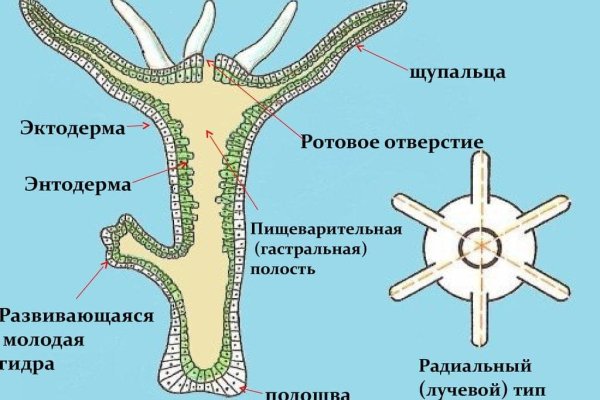 Кракен ссылка онион зеркало