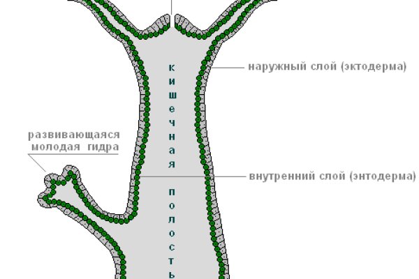 Ссылка на супернет в тор