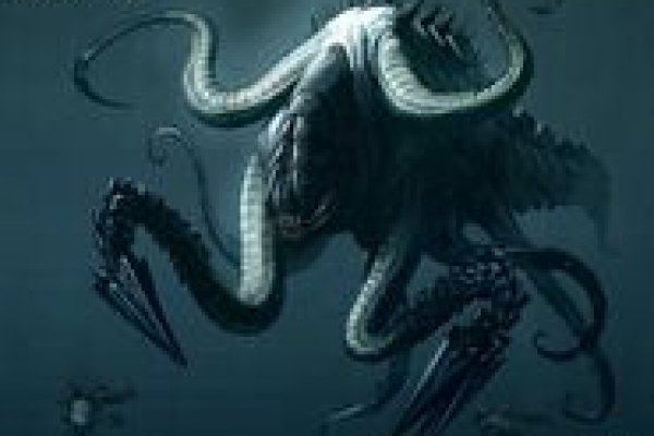 Kraken маркет whitenet только через tor скачать