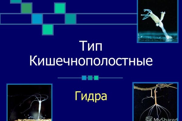 Кракен сайт kraken2