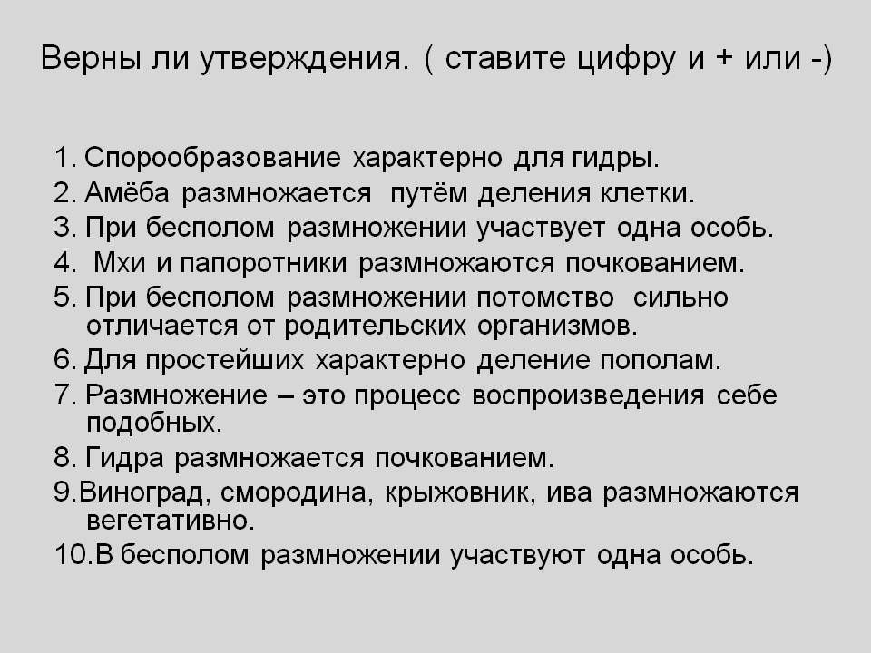 Онлайн магазин наркотиков