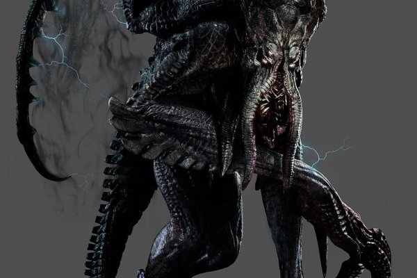 Kraken13at