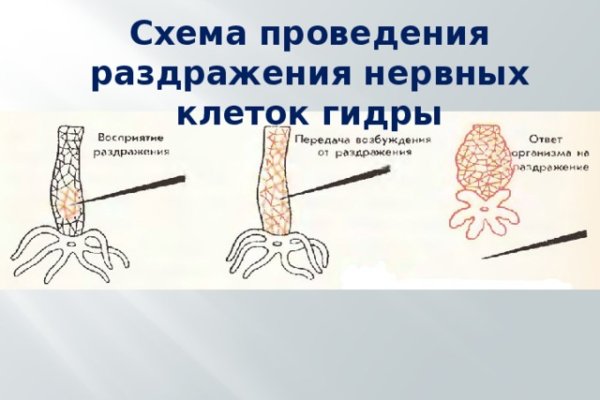 Что такое кракен сайт в россии