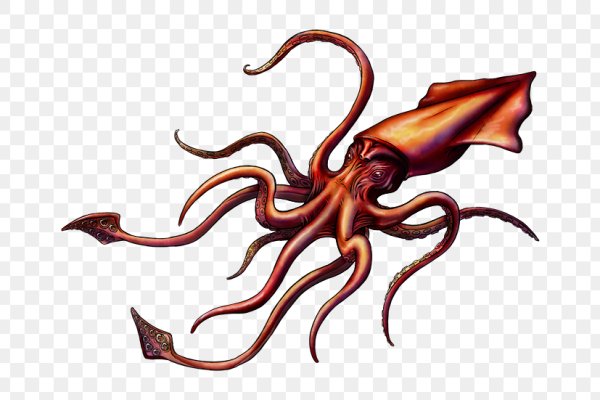 Kraken 17at