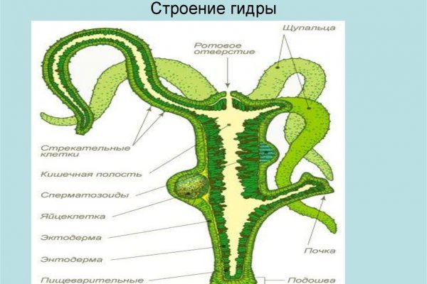 Короткая ссылка на кракен