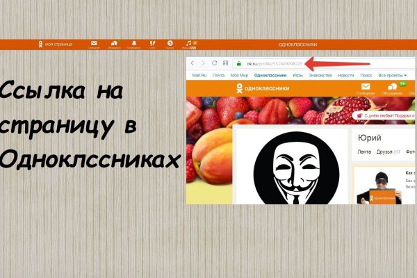 Гидра и кракен